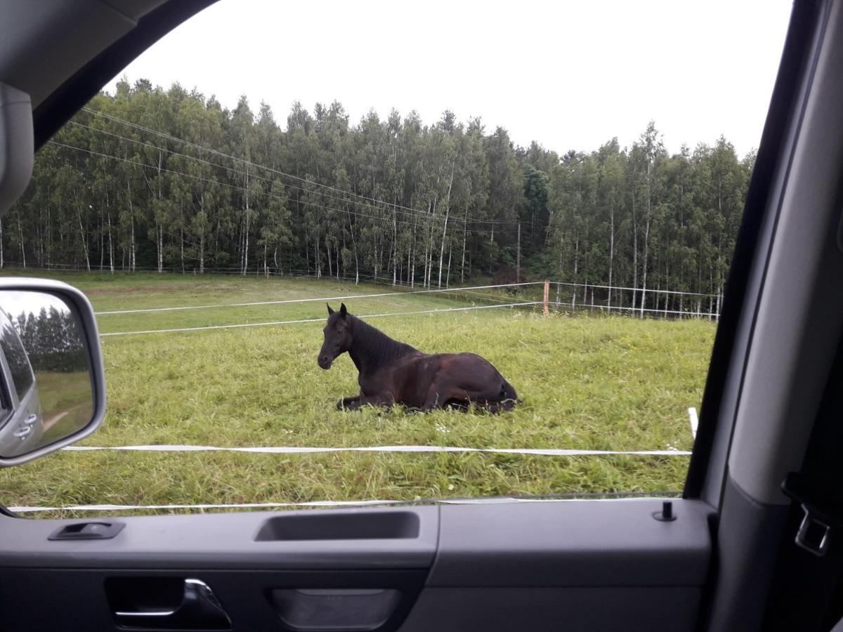 Apartamenty Lubiewo Mikołajki Kültér fotó