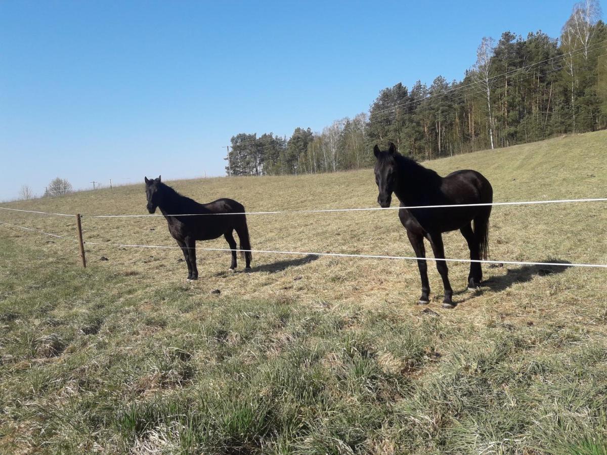 Apartamenty Lubiewo Mikołajki Kültér fotó